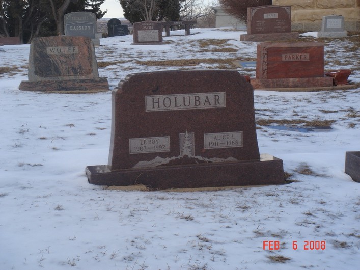 ,       .   !Holubar - Dale Reed