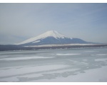 From Japan with LOVE...