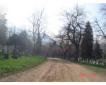     ,      2007 .    .
